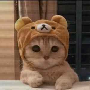 Meet your Posher, Martha